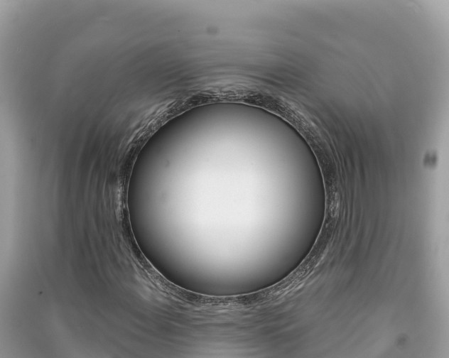 X0000091301108200708101041