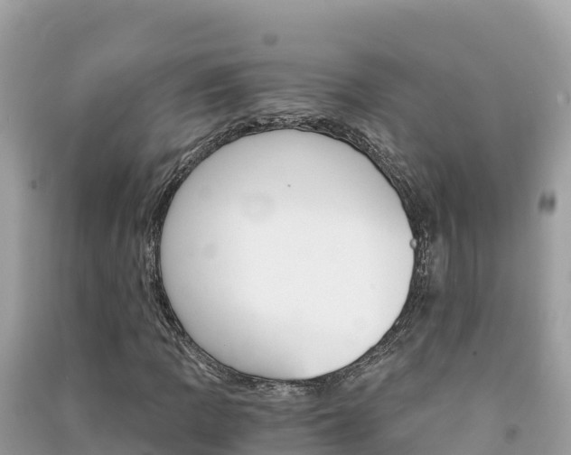 X0000091301109200708101041