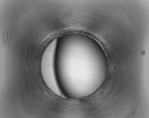 X0000091301110200708101041
