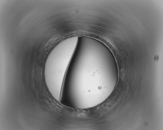 X0000091301111200708101042