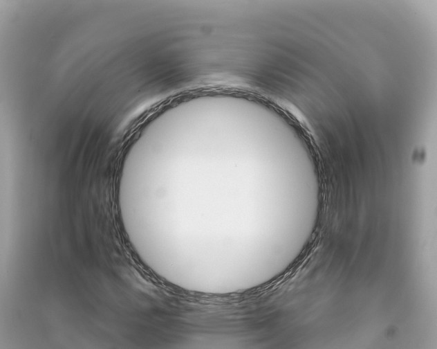 X0000091301112200708101042