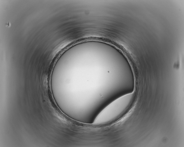 X0000091301113200708101042