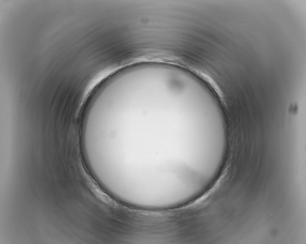 X0000091301114200708101042