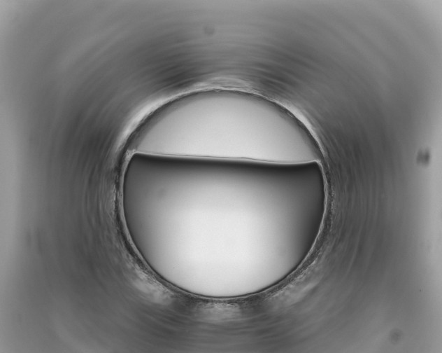 X0000091301115200708101042