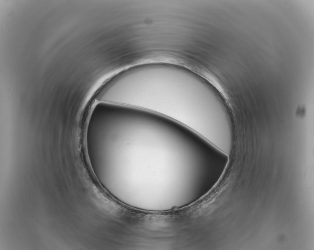 X0000091301116200708101042