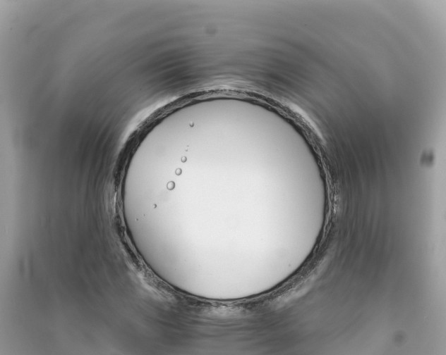 X0000091301117200708101042