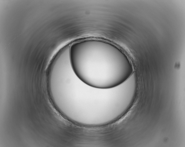 X0000091301118200708101042