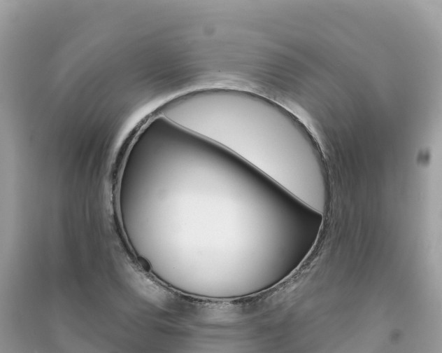 X0000091301120200708101042
