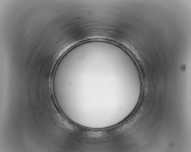 X0000091301121200708101042