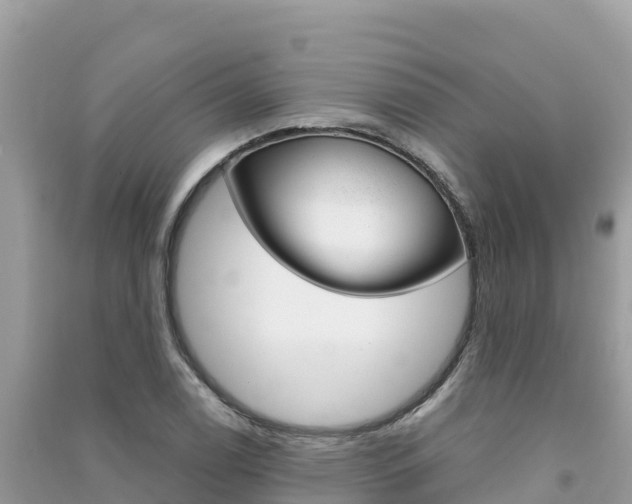 X0000091301122200708101042