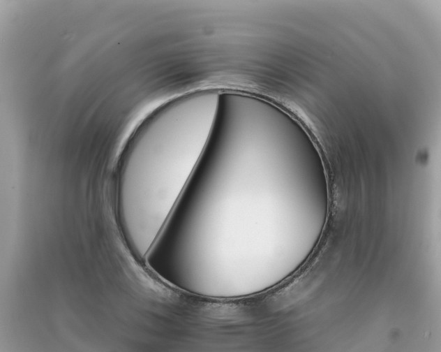 X0000091301123200708101042