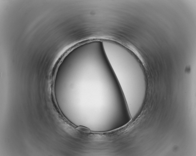 X0000091301124200708101042