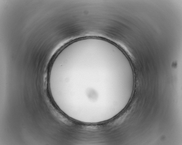 X0000091301126200708101042