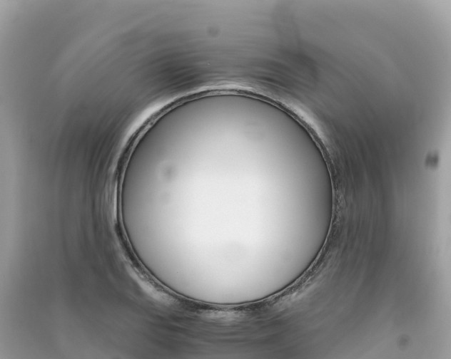 X0000091301127200708101042