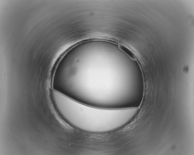 X0000091301128200708101042