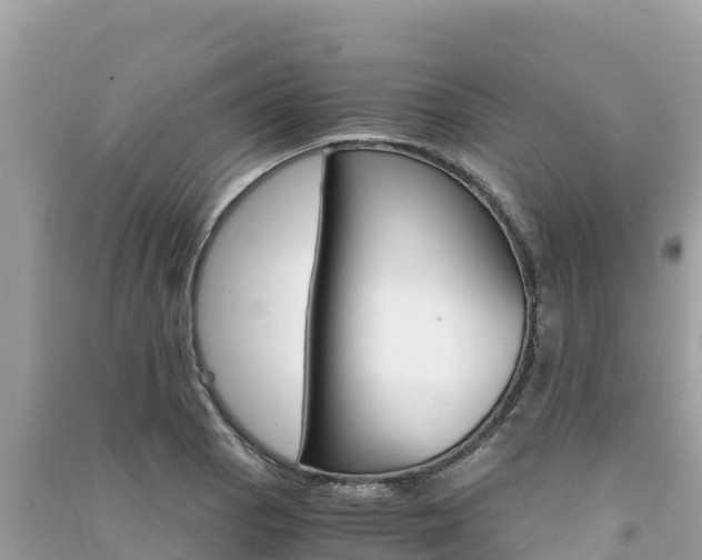 X0000091301129200708101042