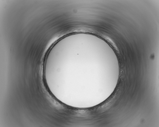 X0000091301130200708101042