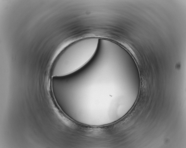 X0000091301131200708101042