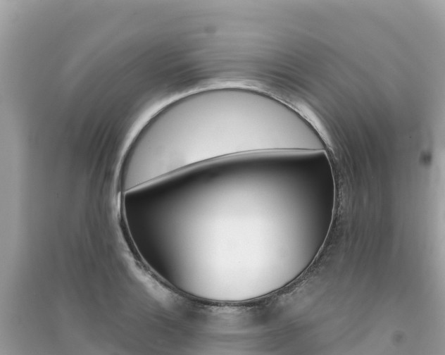 X0000091301132200708101042