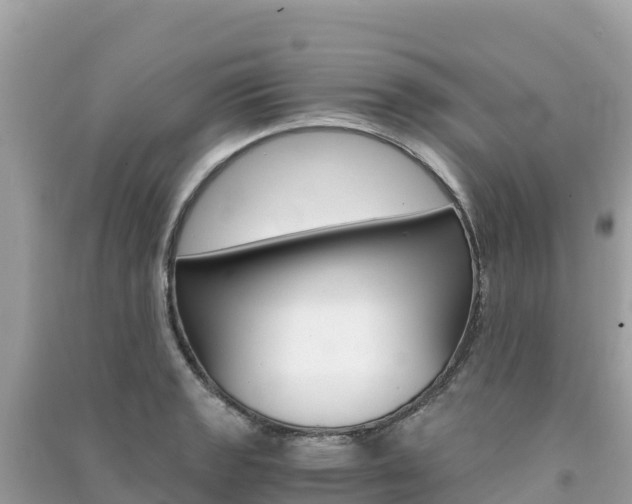 X0000091301133200708101042