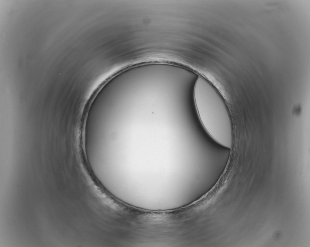 X0000091301134200708101042