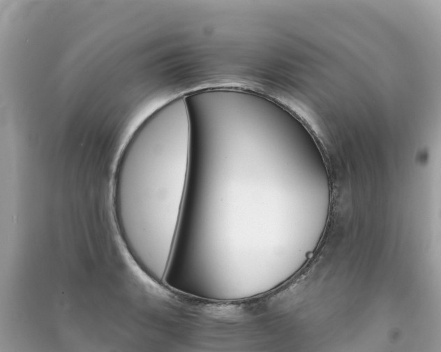 X0000091301135200708101042