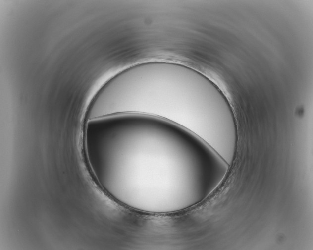 X0000091301136200708101042