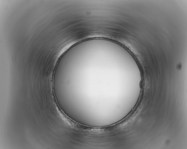 X0000091301137200708101042