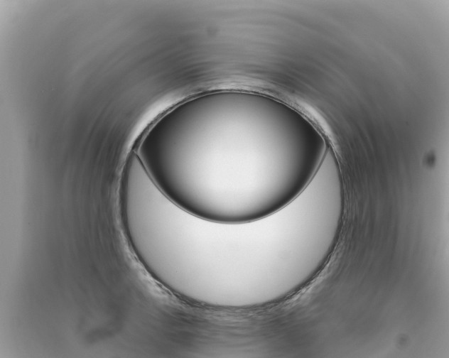 X0000091301138200708101042