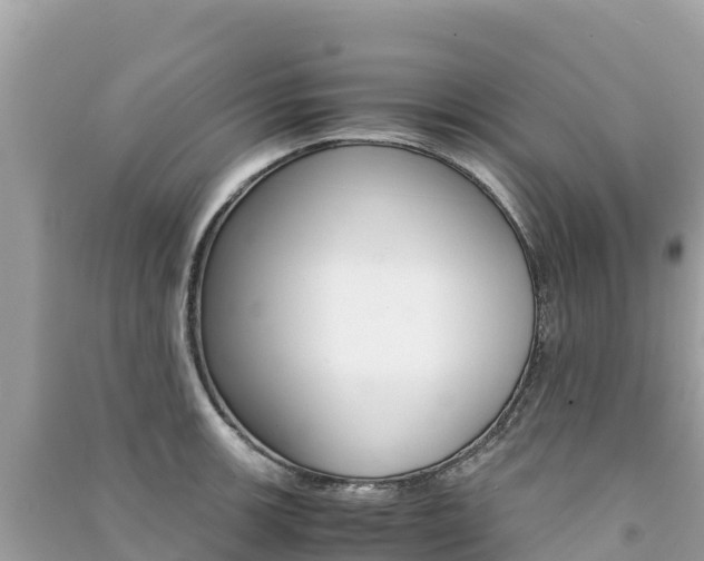 X0000091301139200708101042