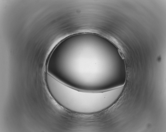 X0000091301140200708101042