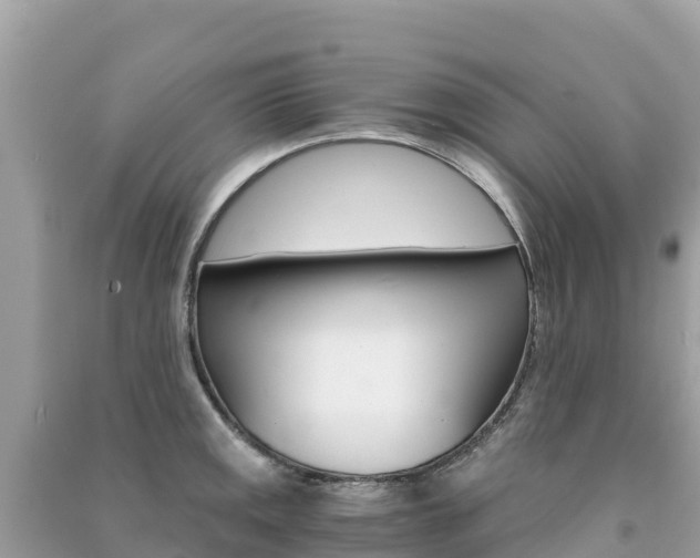 X0000091301141200708101042