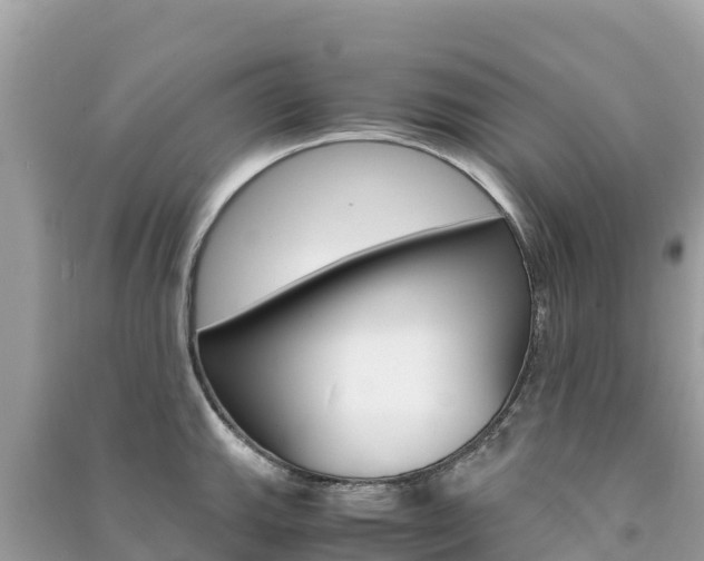 X0000091301143200708101042
