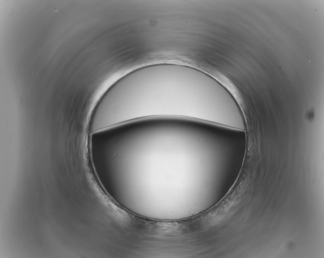 X0000091301144200708101042