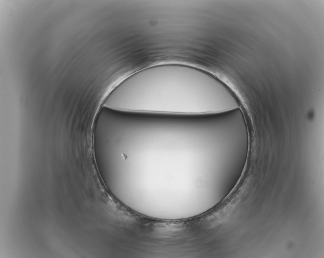 X0000091301145200708101042