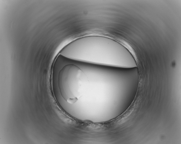 X0000091301146200708101042