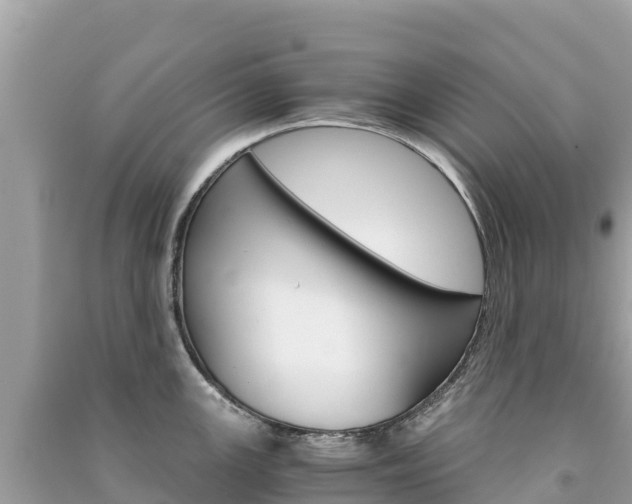 X0000091301147200708101042
