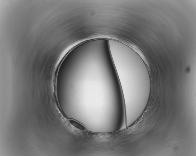 X0000091301148200708101042