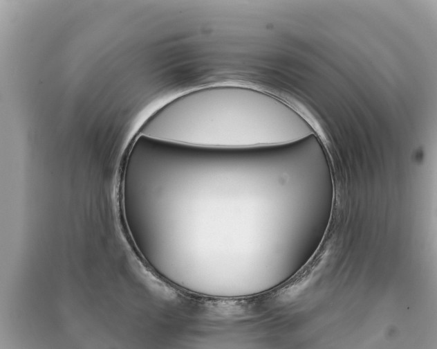 X0000091301149200708101042