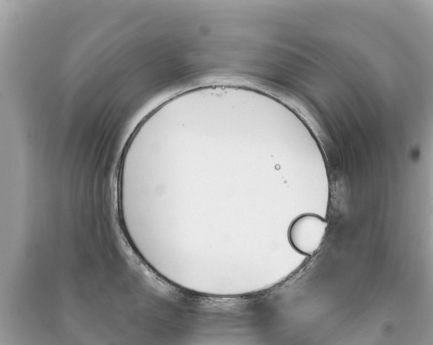 X0000091301150200708101042