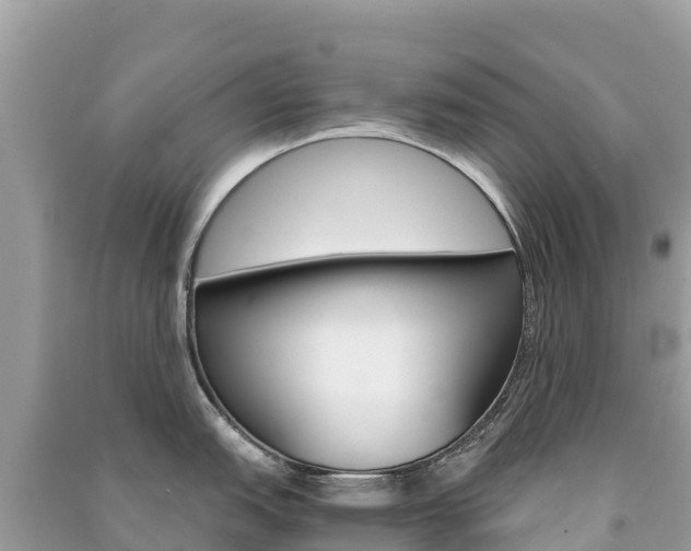 X0000091301151200708101042