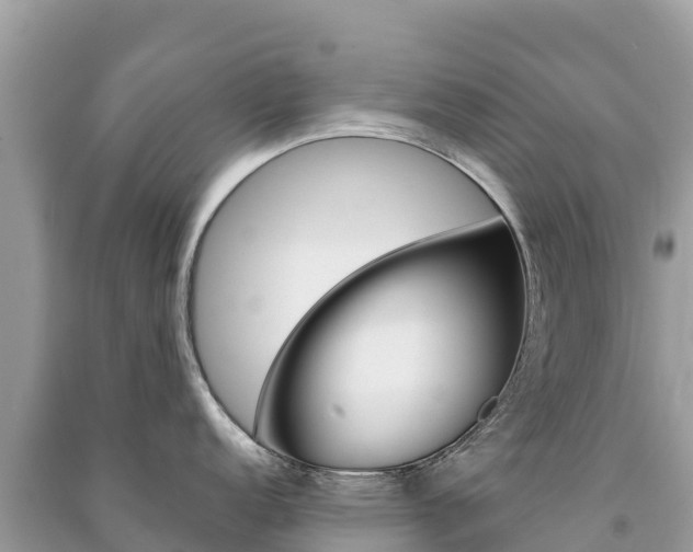 X0000091301152200708101042