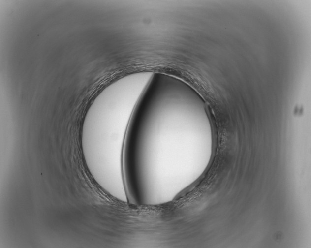 X0000091301153200708101041