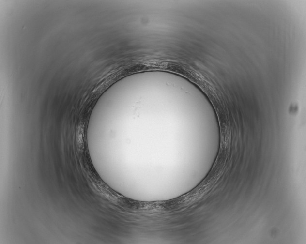 X0000091301154200708101041