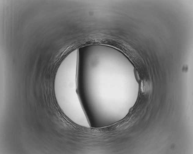 X0000091301155200708101041