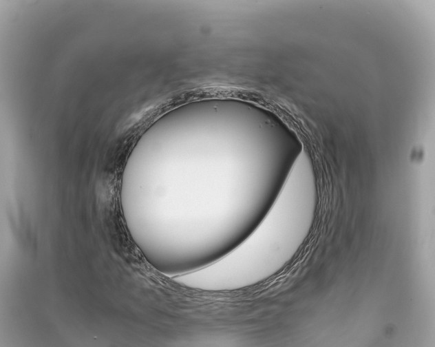 X0000091301157200708101041