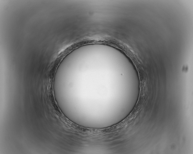 X0000091301158200708101041