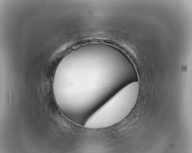 X0000091301159200708101041