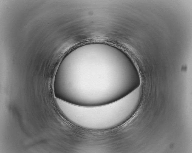 X0000091301161200708101041