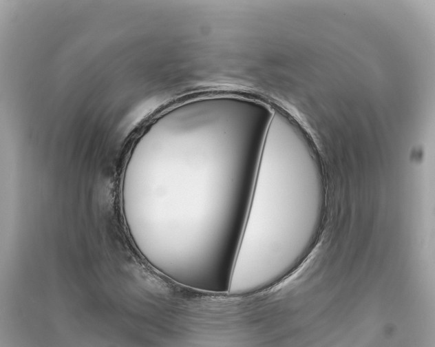 X0000091301163200708101041